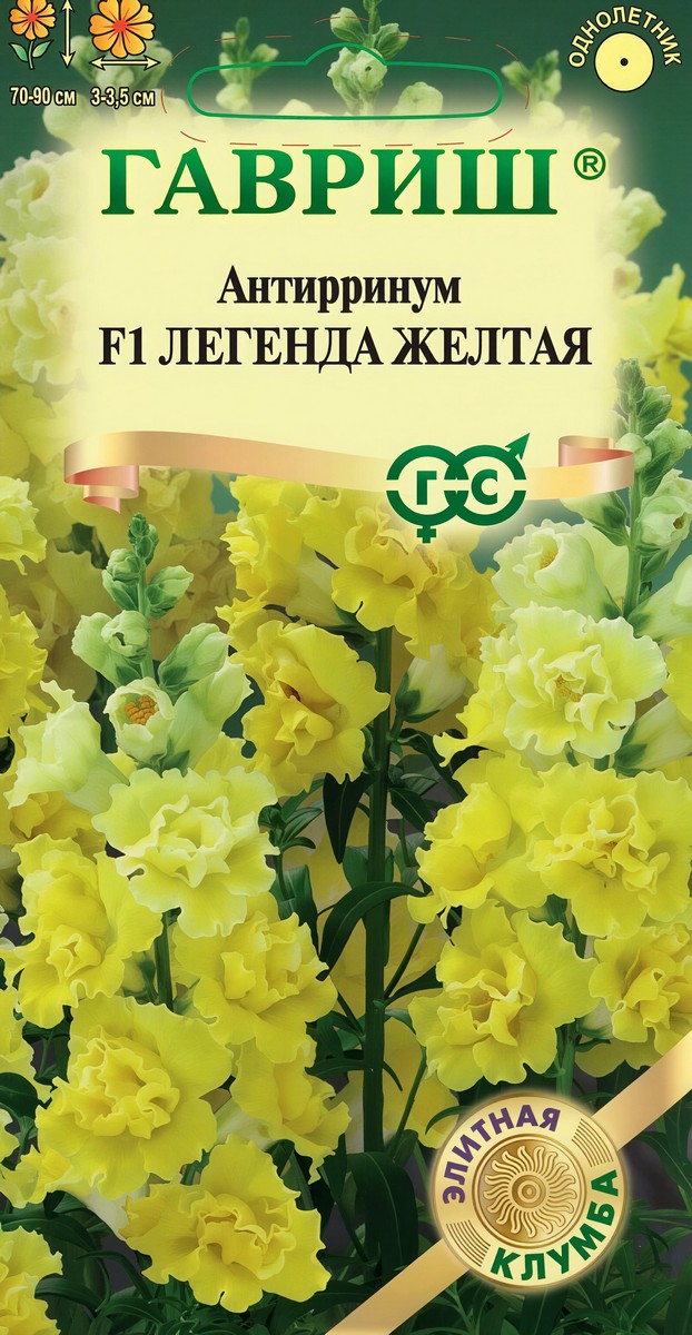 Антирринум (Львиный зев) Легенда желтая F1, 5 шт. Элитная клумба
