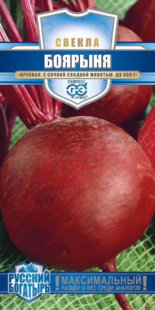 Свекла Боярыня, 2 г. Русский богатырь.