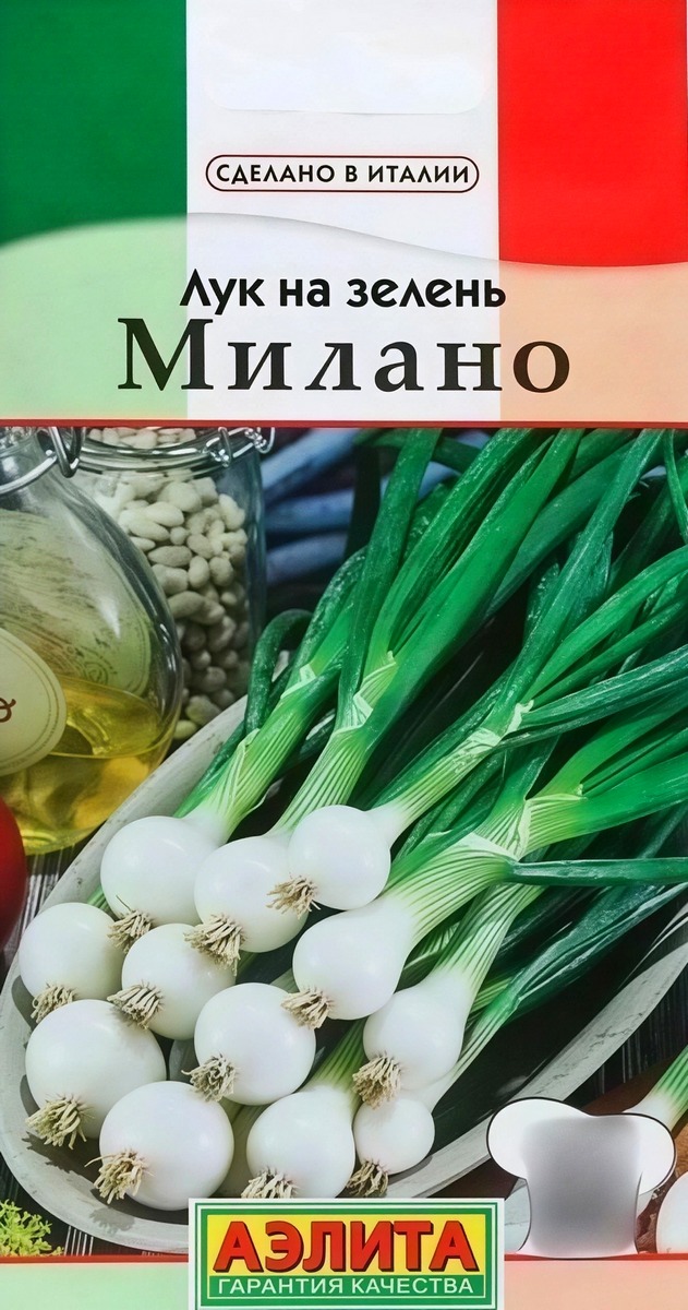 Лук на зелень Милано, 0,5 г