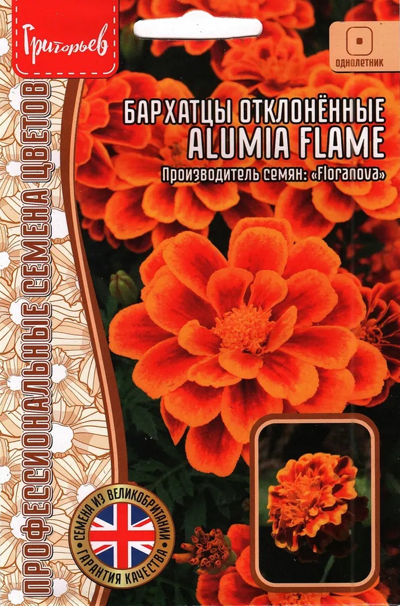 Бархатцы Alumia Flame (Алумия Памя), отклонённые, 5 шт.