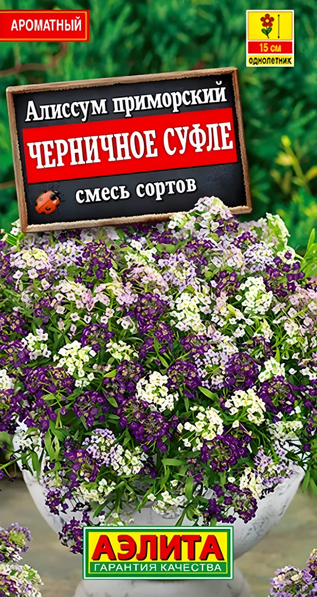 Алиссум Черничное суфле, смесь сортов, 0,05 г 
