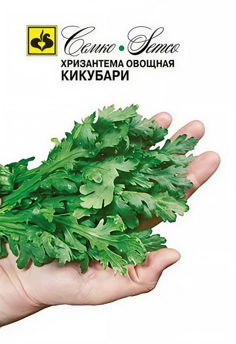 Хризантема овощная Кикубари, 0,5 г