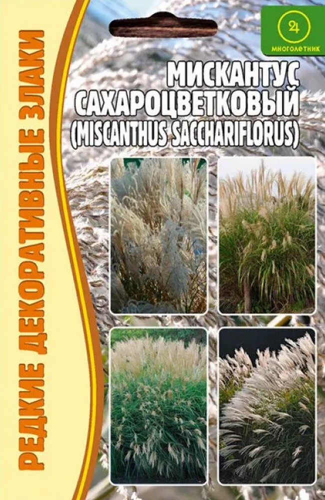 Мискантус сахароцв.(Мiscanthus sacchariflor) 0,1 г