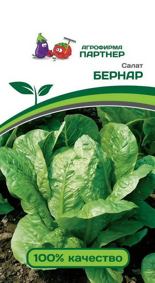 Салат кочанный Бернар, 0,5 г. Агрофирма Партнер.
