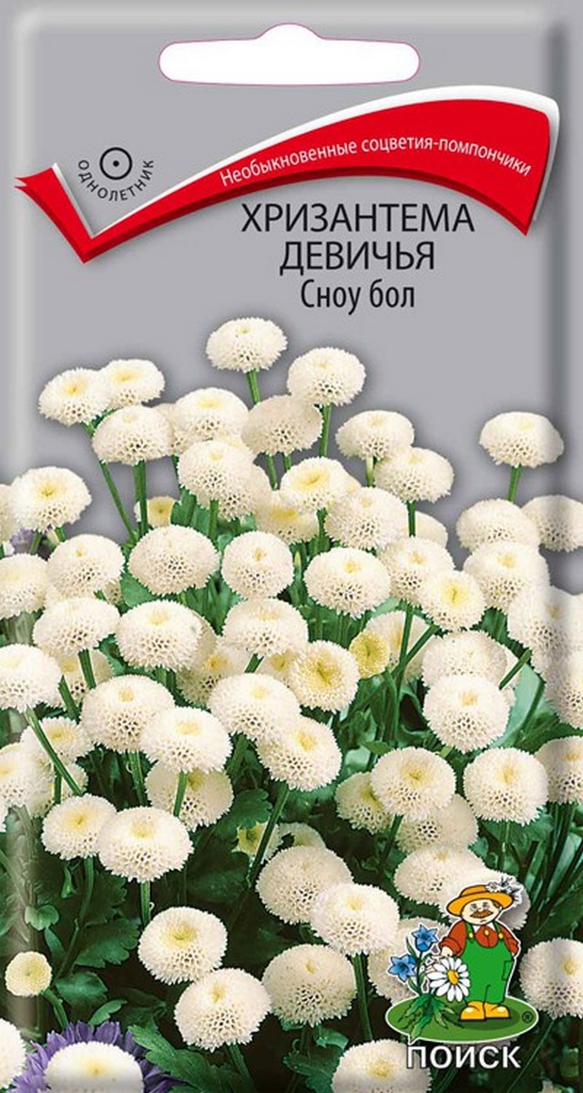 Хризантема девичья Сноу бол, 0,05 г