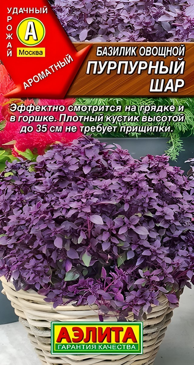 Базилик овощной Пурпурный шар, 0,3 г