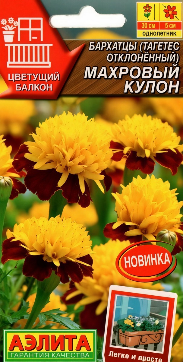 Бархатцы Махровый кулон отклоненные, 0,3 г