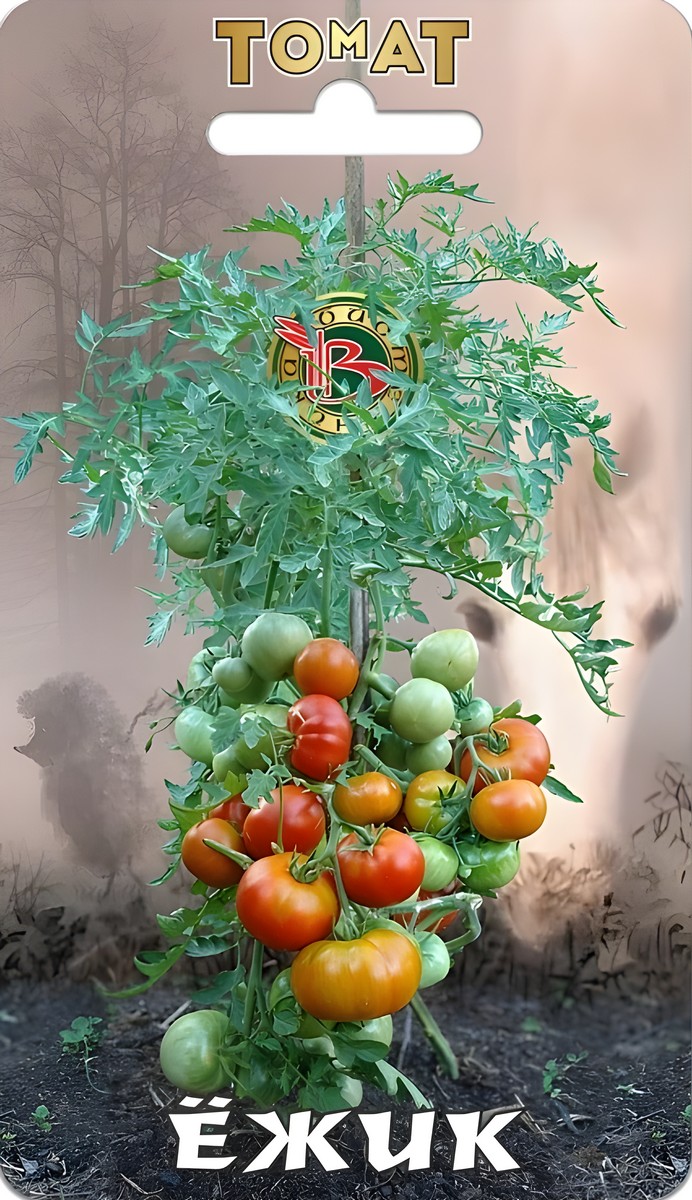 Томат Ёжик, 10 шт.
