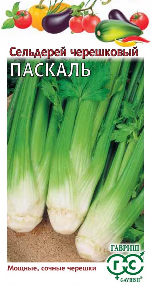 Сельдерей Паскаль черешковый, 0,3 г