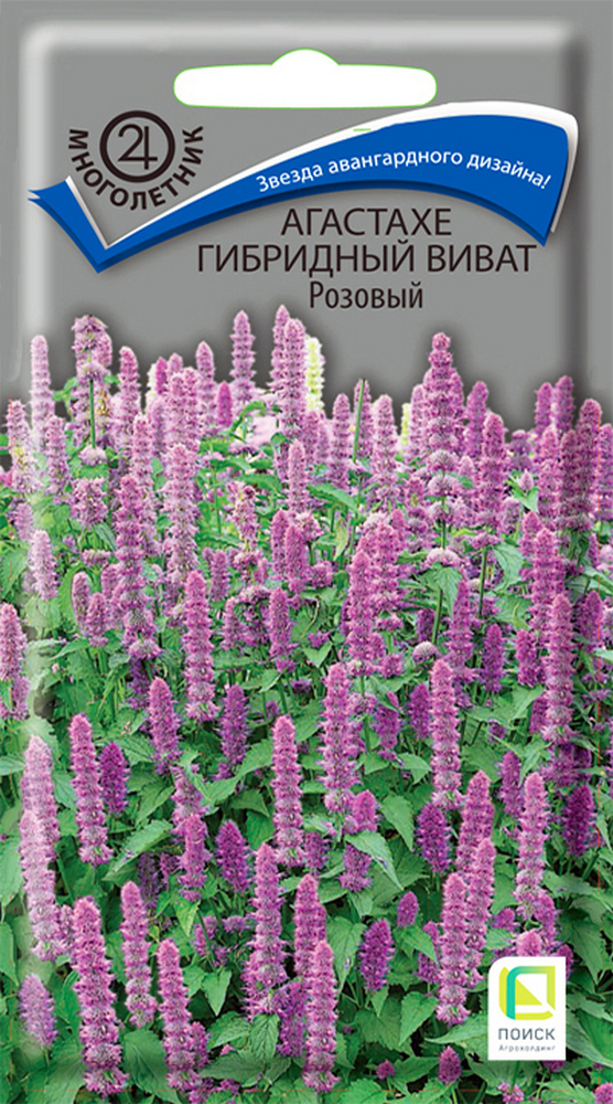 Агастахе гибридный Виват Розовый, 10 шт.