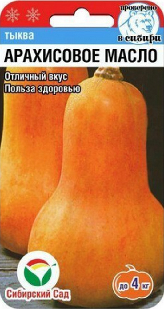 Тыква Арахисовое масло, 3 шт. Сибирский сад