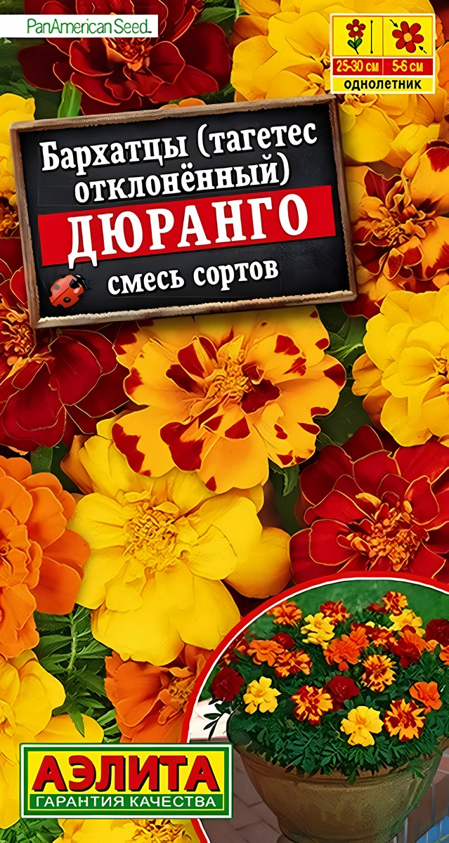 Бархатцы Дюранго, смесь окрасок, 7 шт.