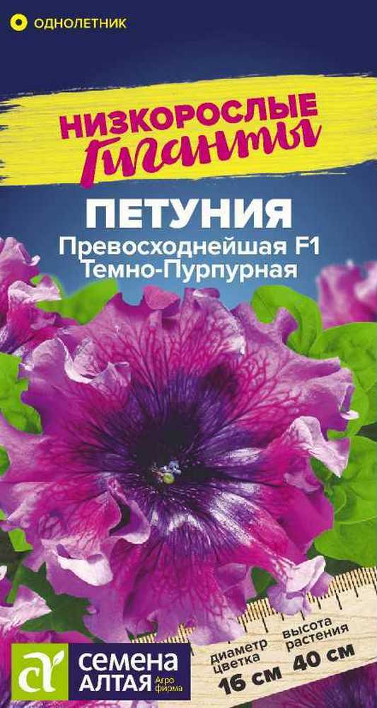 Петуния Превосходнейшая Темно-пурпурная, 10 шт.