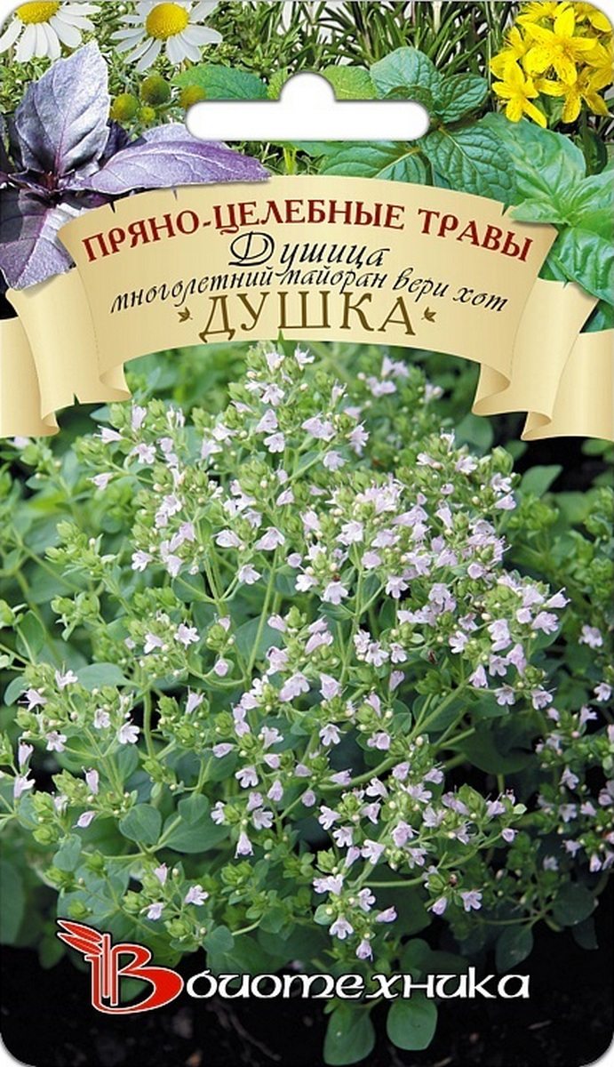 Душица Душка, многолетний майоран Вери хот, 0,05 г Биотехника