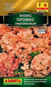Флокс махровый Промис, персиковый, 10 шт.