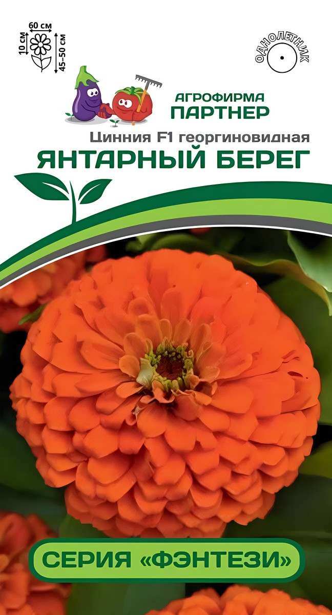 Цинния Янтарный Берег F1, георгиновидная  4 шт.