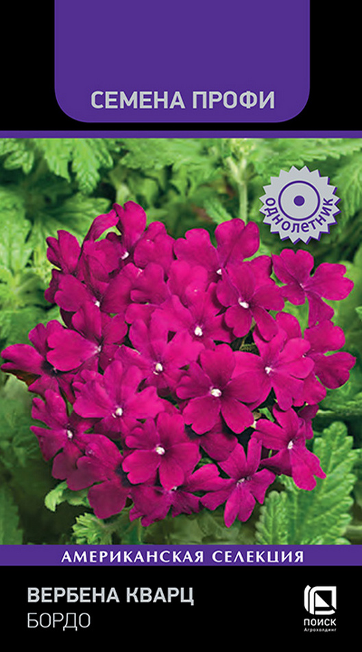 Вербена Кварц Бордо, 10 шт. Семена профи