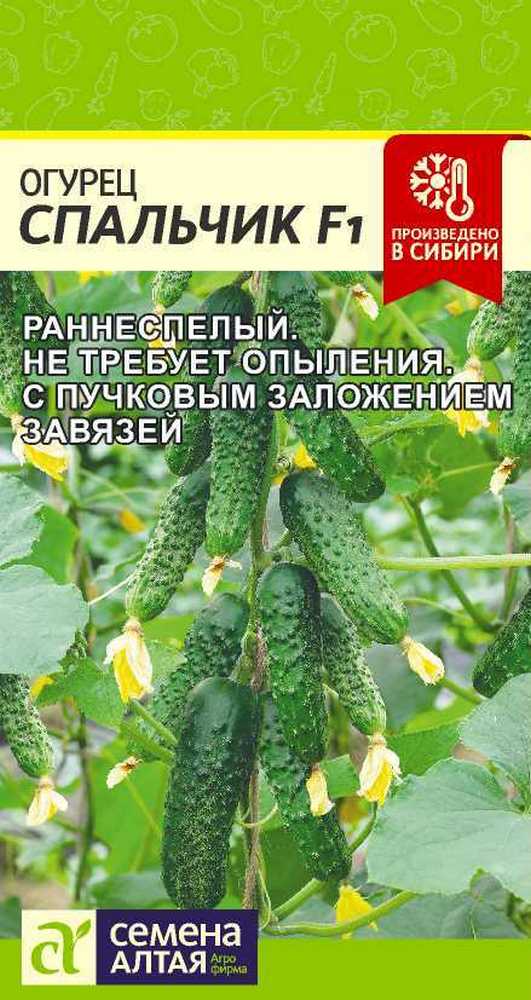 Огурец Спальчик F1, 5 шт.