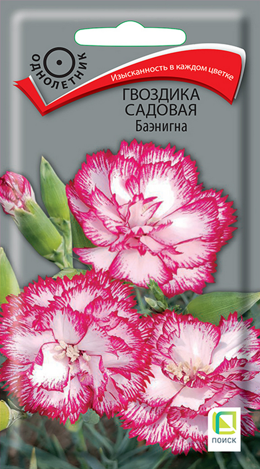 Гвоздика садовая Баэнигна, 0,1 г