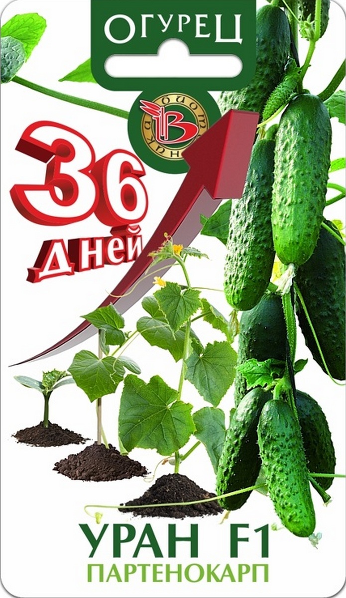 Огурец Уран F1, 8 шт. Биотехника