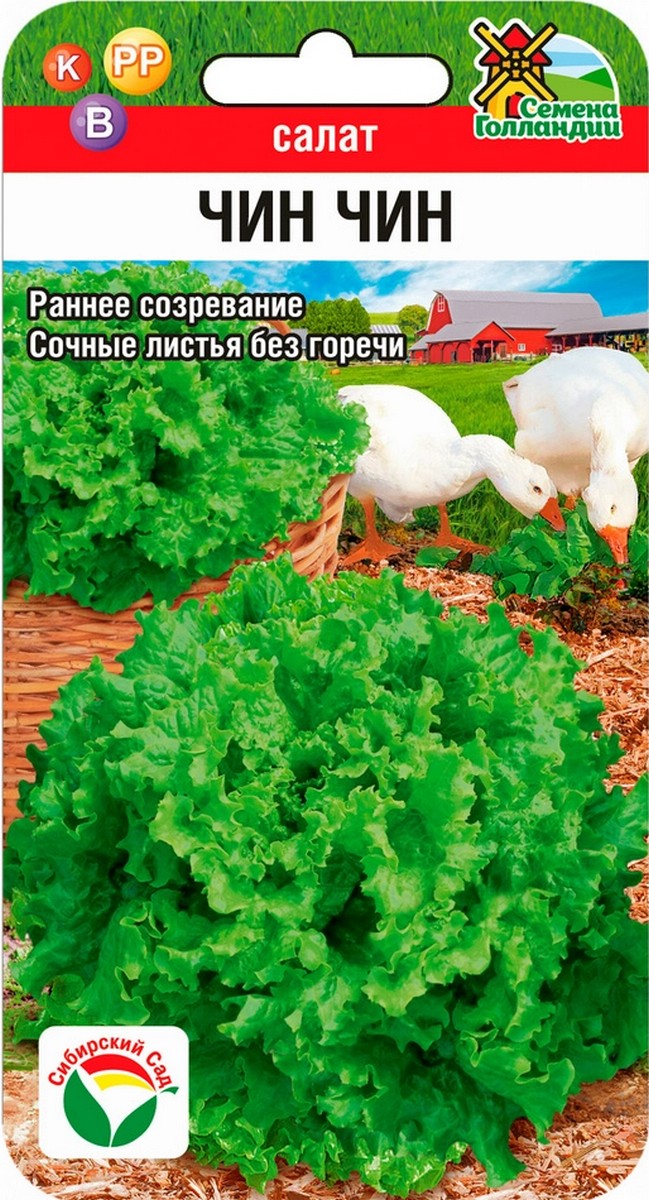 Салат Чин Чин F1, 20 шт. Семена Голландии