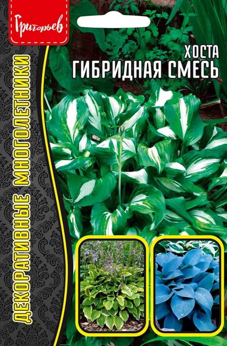 Хоста гибридная, 0,02 г
