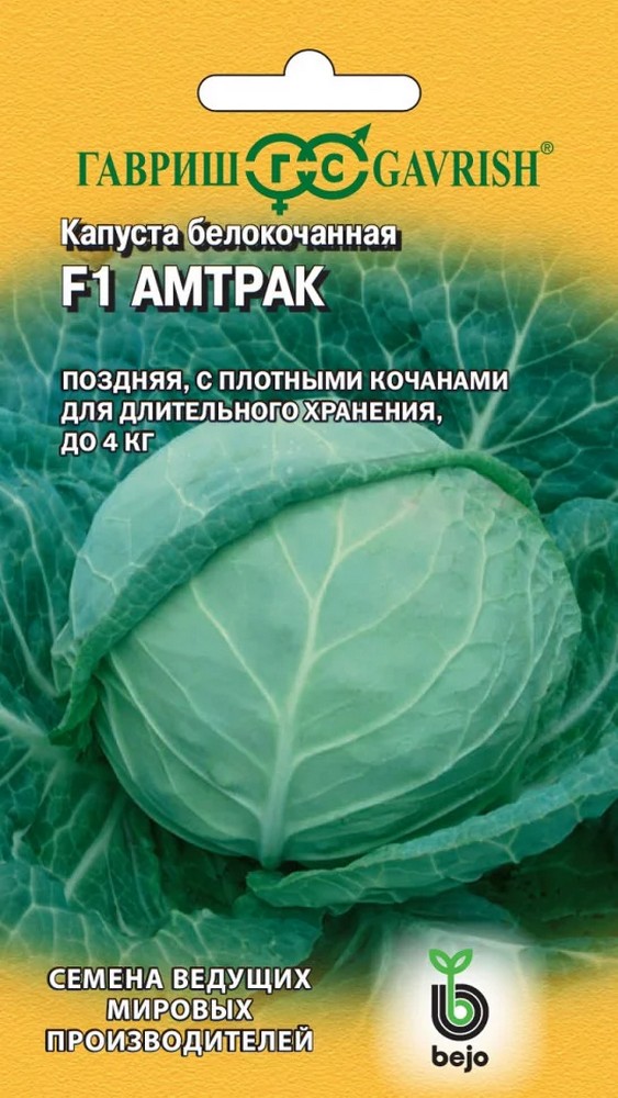 Капуста белокочанная Амтрак F1, 10 шт. Голландия.