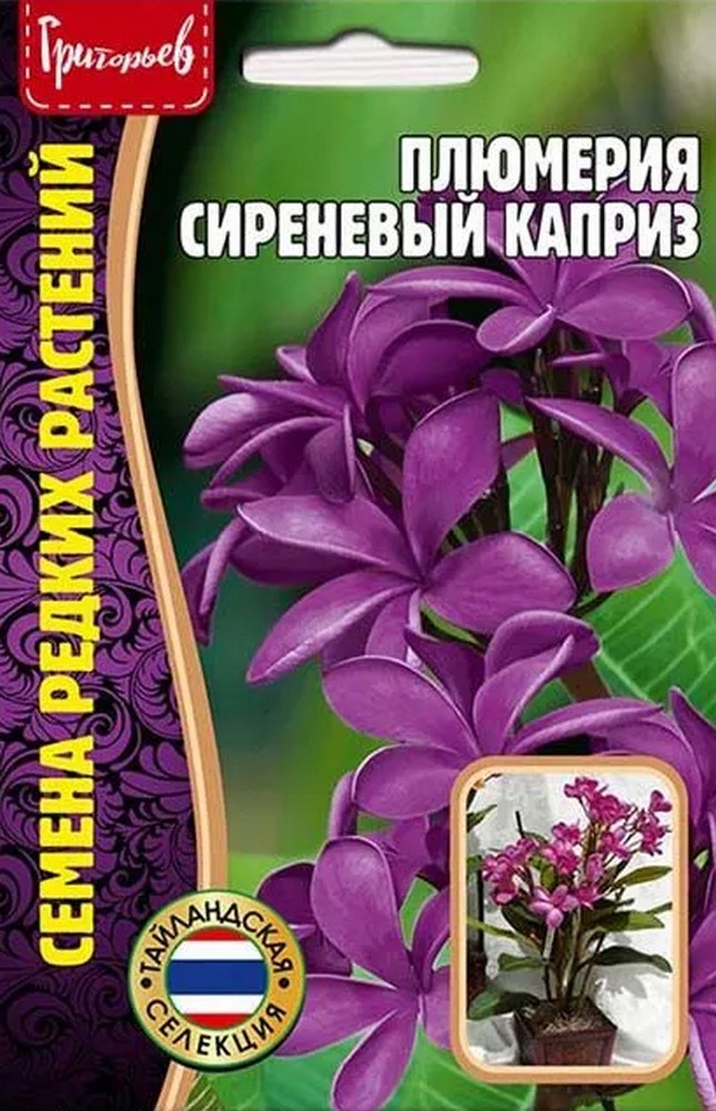 Плюмерия Сиреневый Каприз (франжипани), 3 шт.