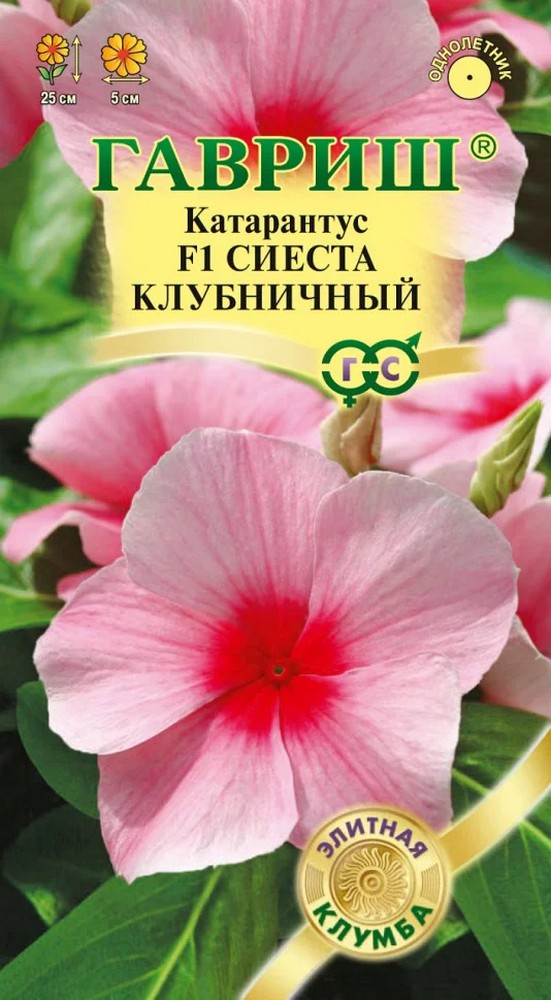 Катарантус Сиеста клубничный F1, 5 шт. 