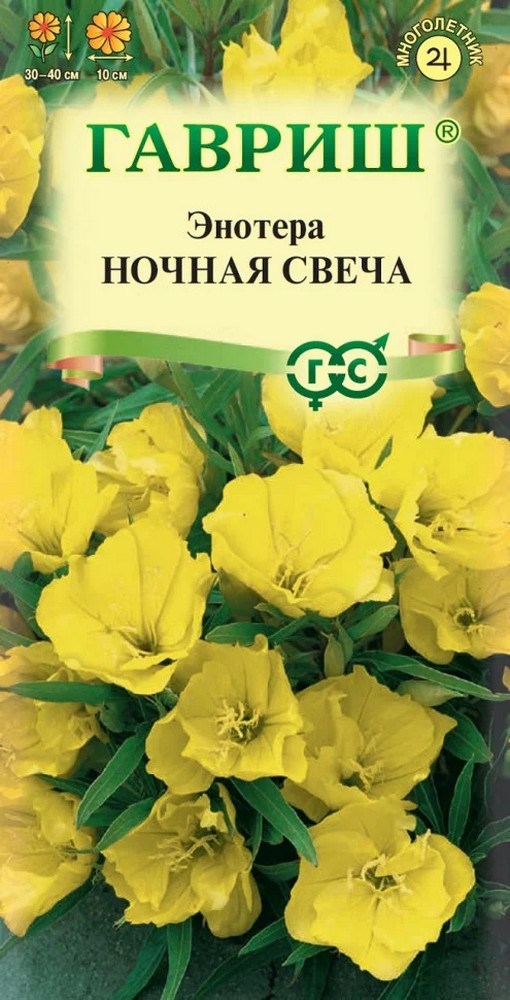 Энотера миссурийская Ночная свеча, 0,2 г