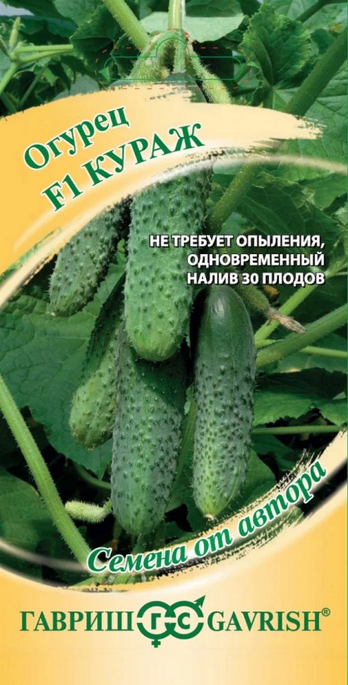 Огурец Кураж F1, 10 шт. Авторские семена.