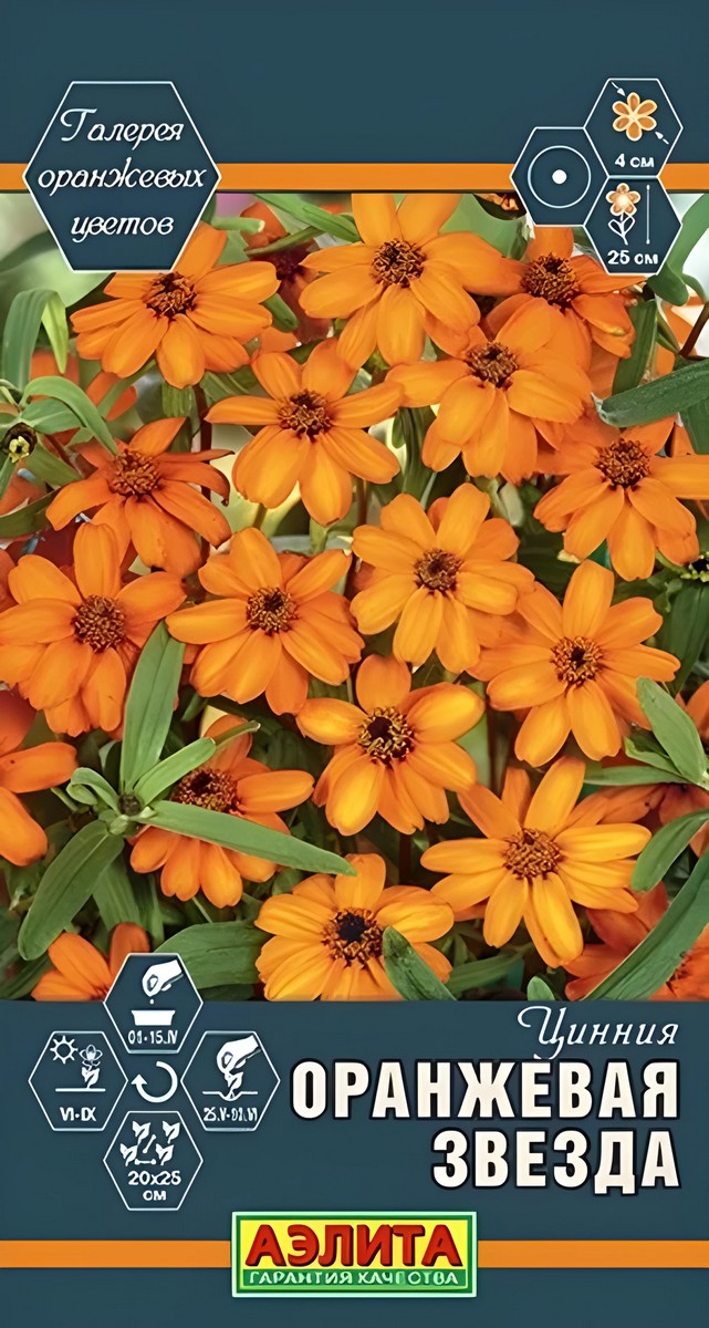 Цинния Оранжевая звезда, 0,05 г 