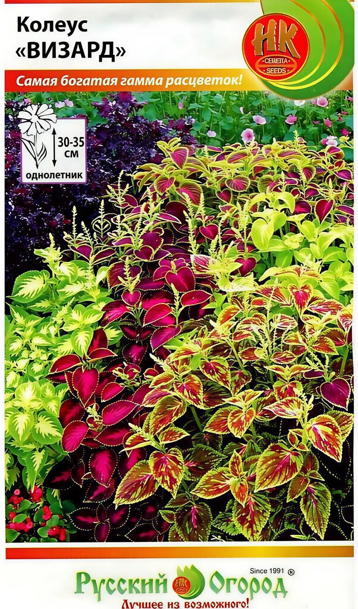 Колеус Визард, смесь, 10 шт. Русский огород