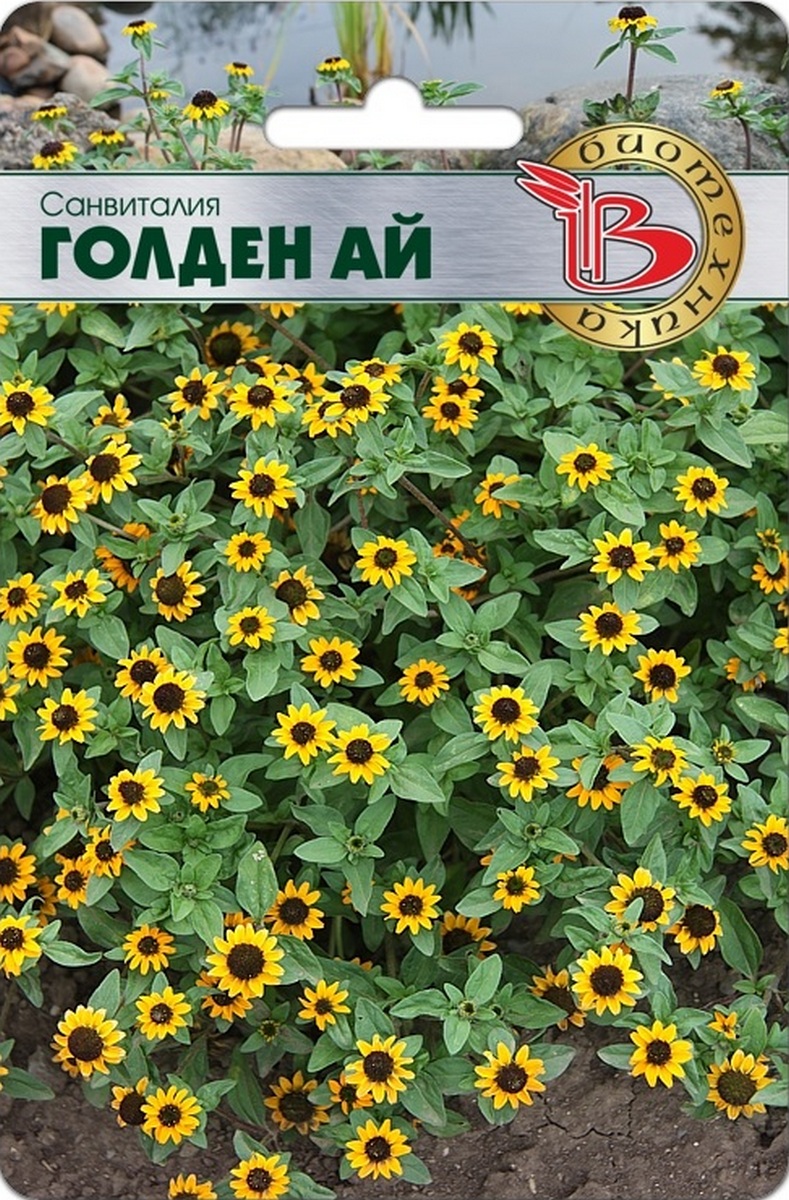 Санвиталия Голден Ай, 80 шт. Биотехника