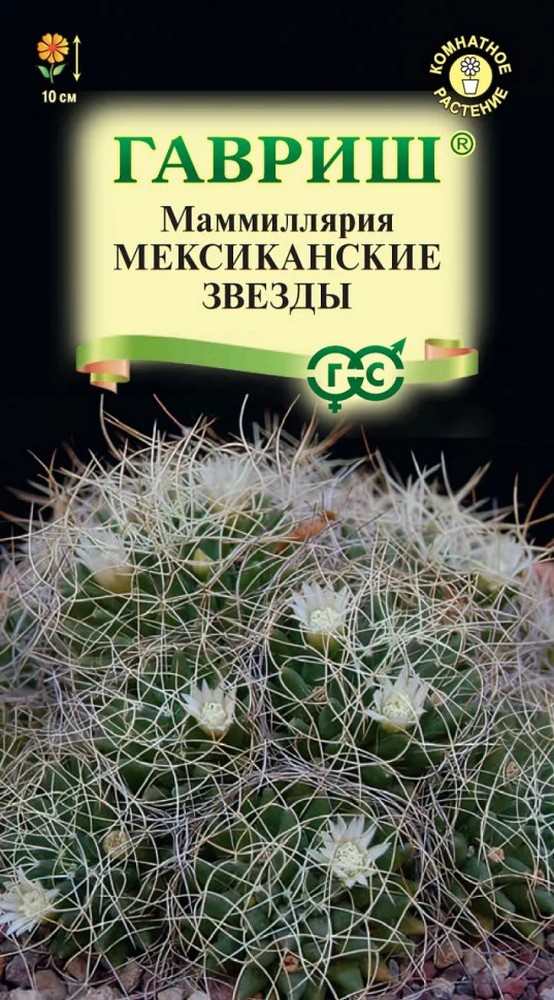 Маммиллярия Мексиканские звезды, 2 шт.