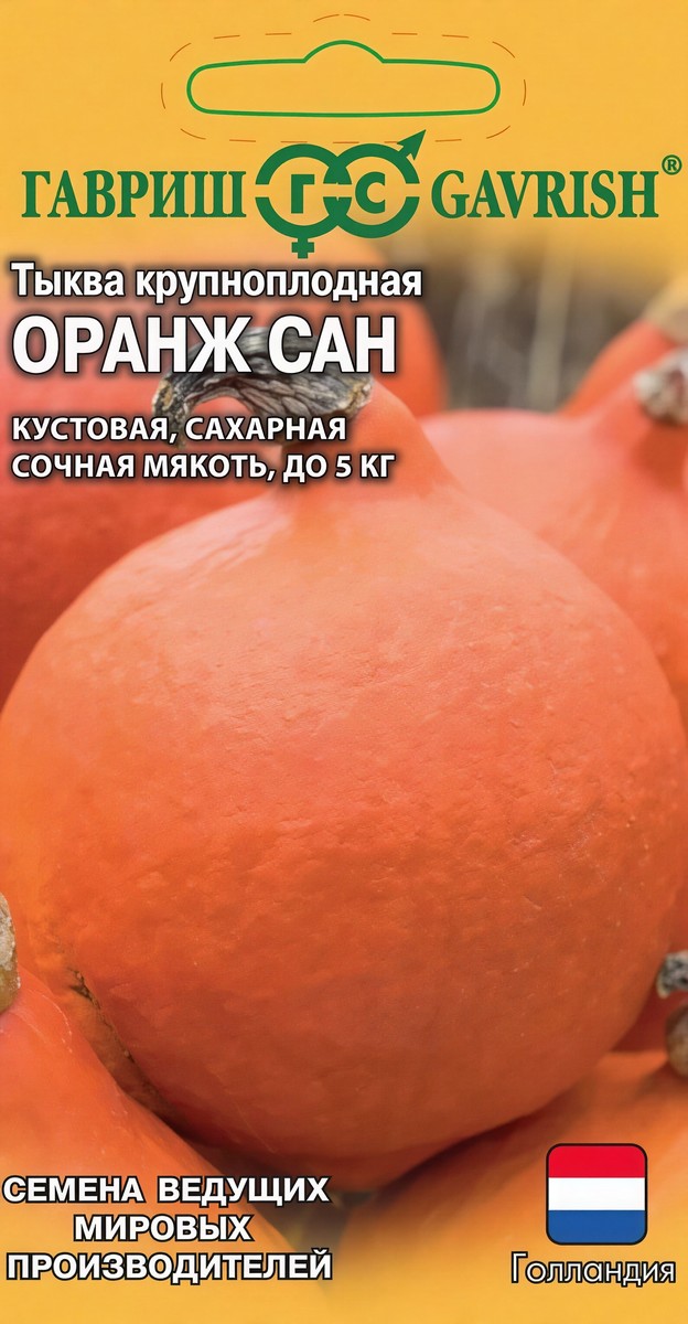 Тыква Оранж Сан, 5 шт. Голландия