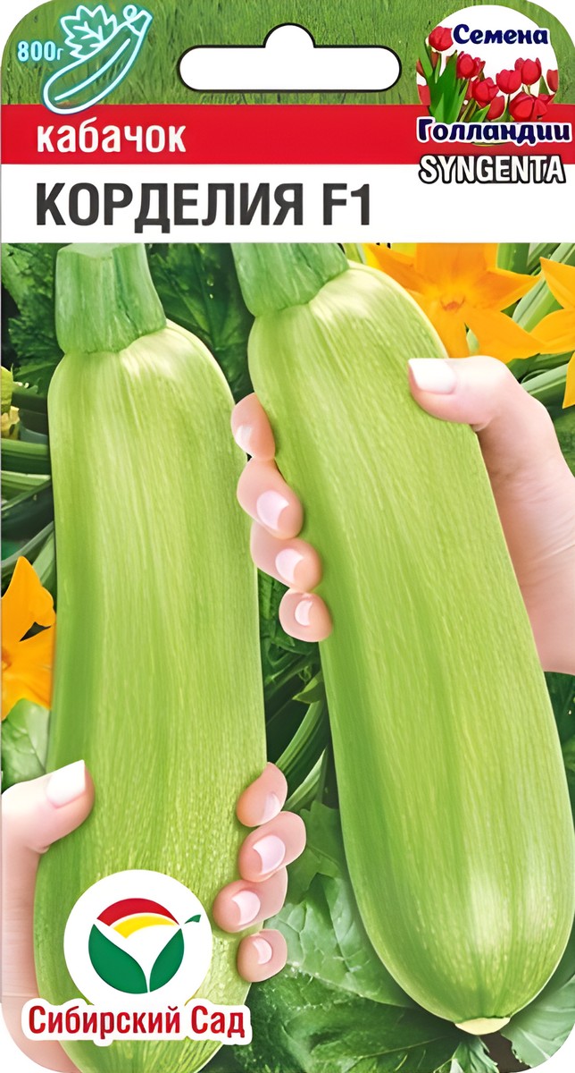 Кабачок Корделия, 3 шт. Семена Голландии. Сибирский сад.