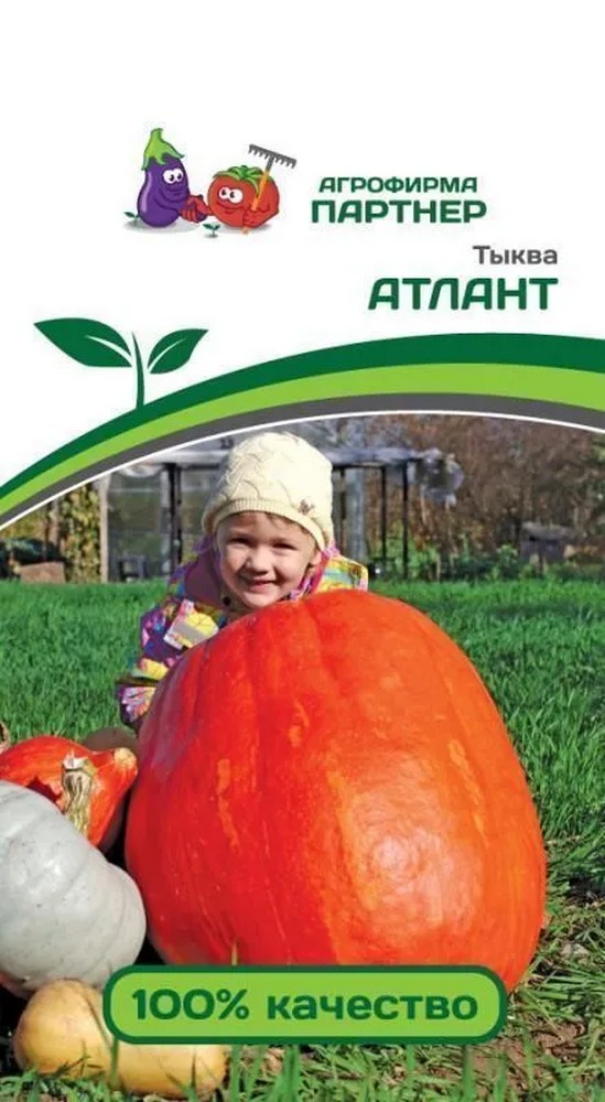 Тыква Атлант, 10 шт. Агрофирма Партнер.