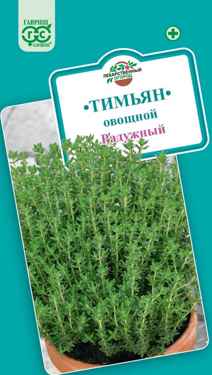 Тимьян овощной, ползучий Радужный, 0,05 г. Лекарственная.