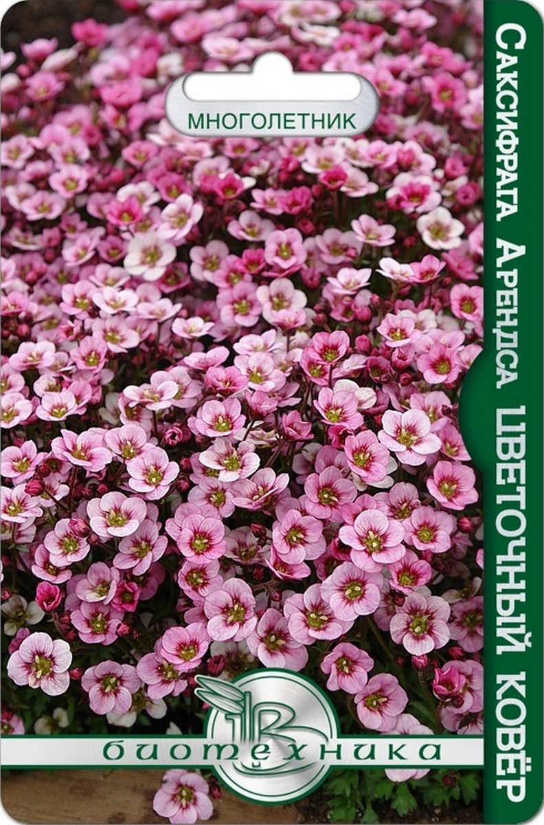 Саксифрага Арендса Цветочный Ковёр, 150 шт. Биотехника