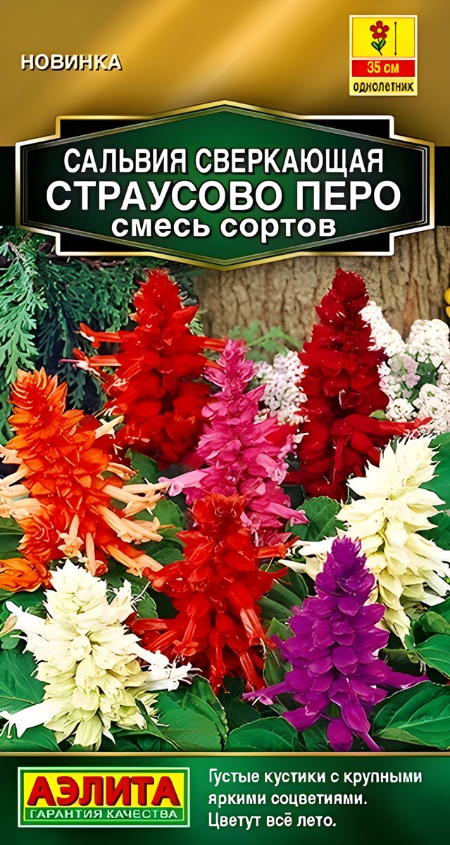 Сальвия Страусово перо, смесь сортов 0,1 г