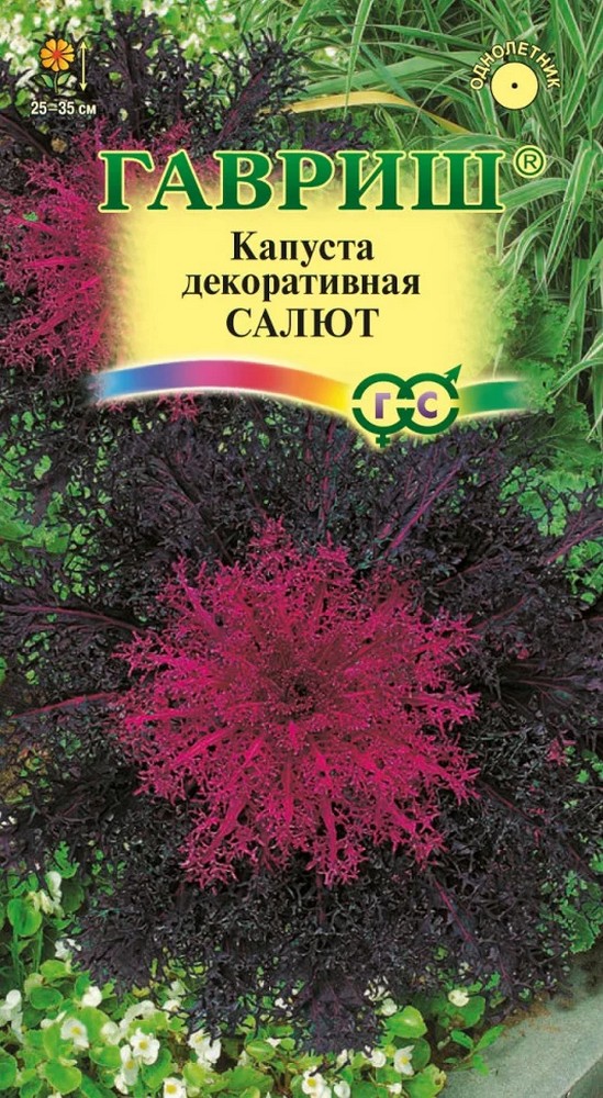 Капуста декоративная Салют, 7шт.