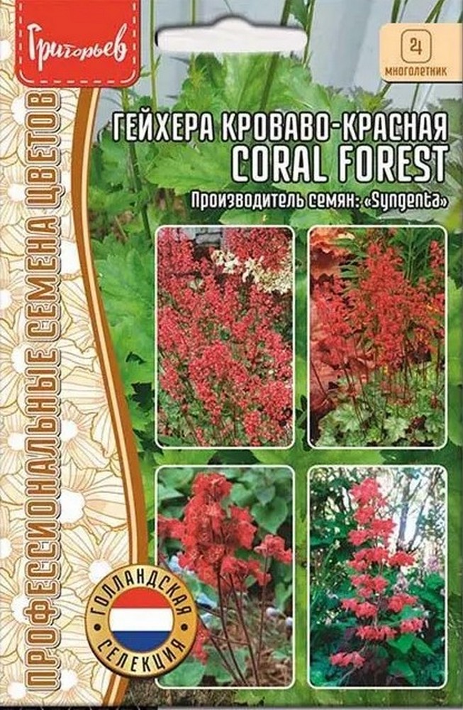 Гейхера Coral forest (Коралловый лес) кроваво-красная, 7 шт.