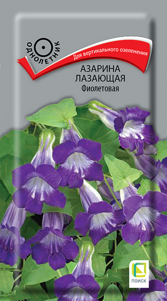 Азарина Лазающая Фиолетовая, 10 шт.