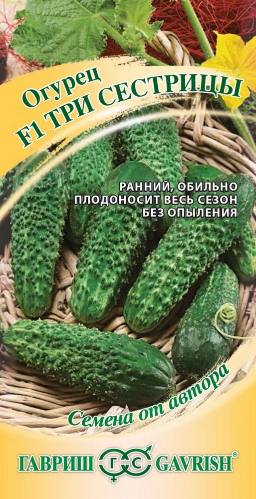 Огурец Три сестрицы F1, 10шт. Авторские семена.