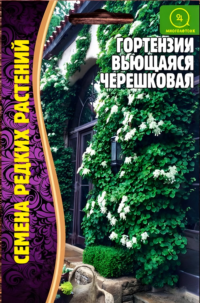 Гортензия вьющаяся Черешковая, 20 шт.