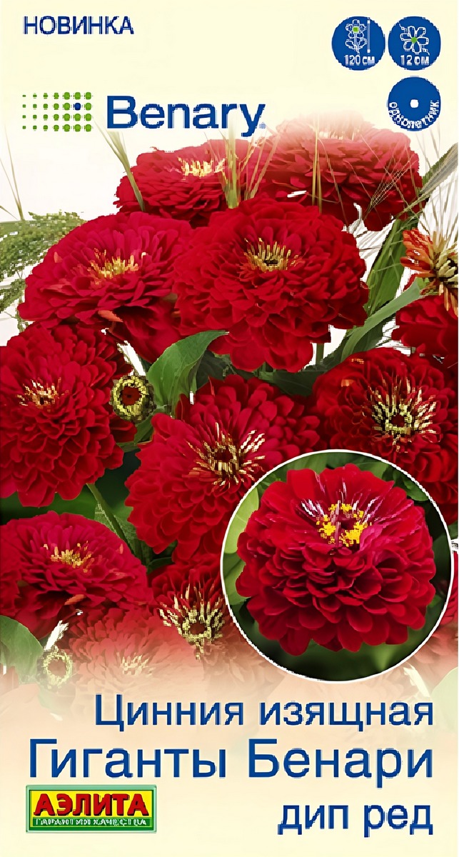 Цинния Гиганты Бенари дип ред, 7 шт.