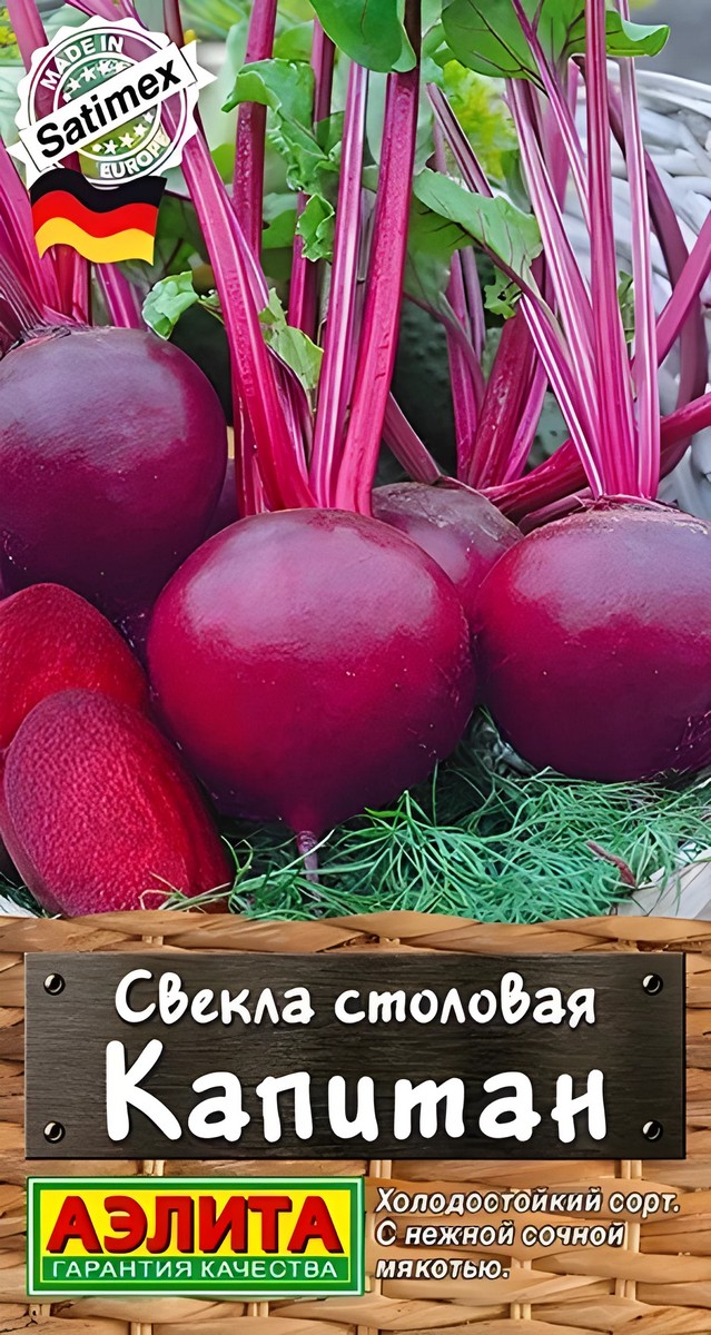 Свекла столовая Капитан, 2 г