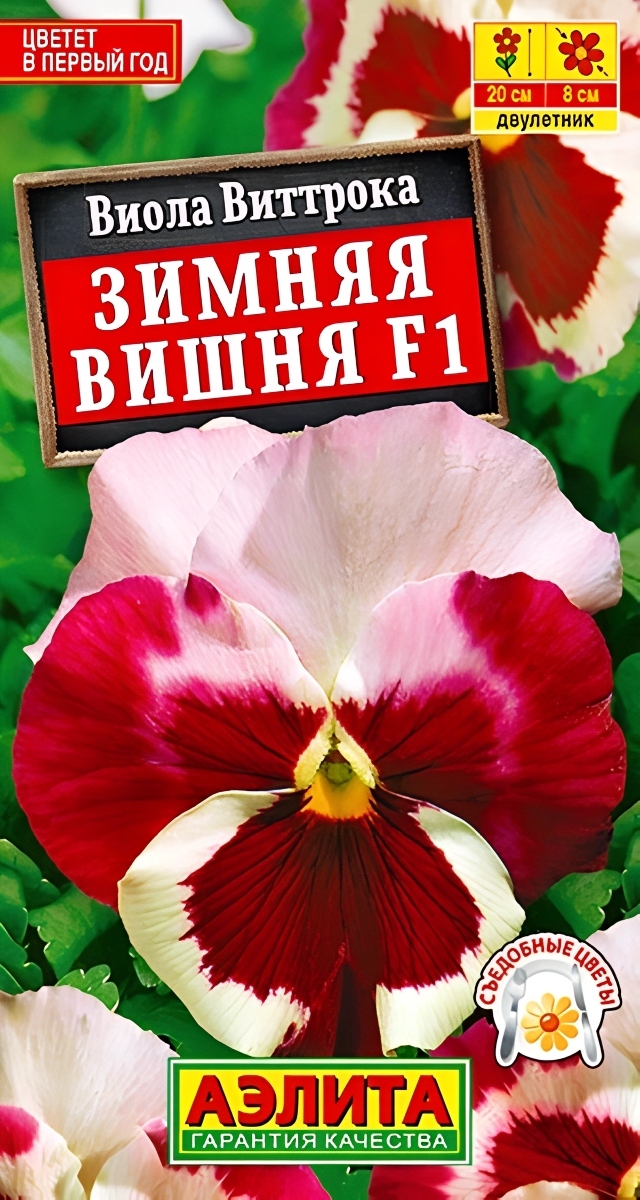Виола Зимняя вишня F1, 7 шт.