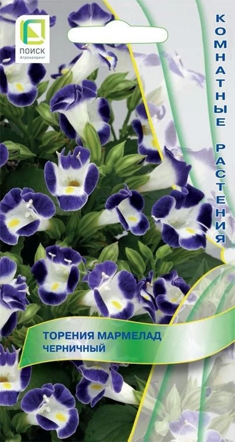 Торения Мармелад Черничный, 5 шт.